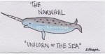 Narwhal Signed_new
